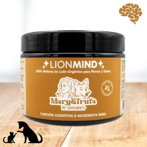 LionMind Mary and Trufa 100% Melena de Leon hongo orgánico compra oh my gos