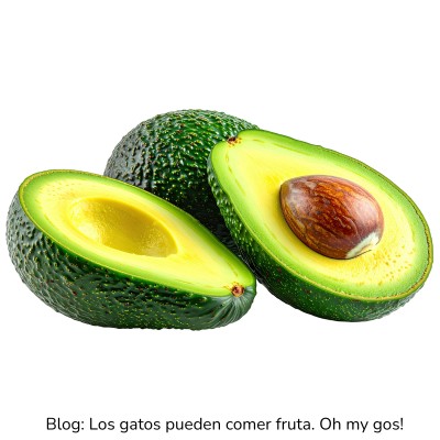 Aguacate para gatos