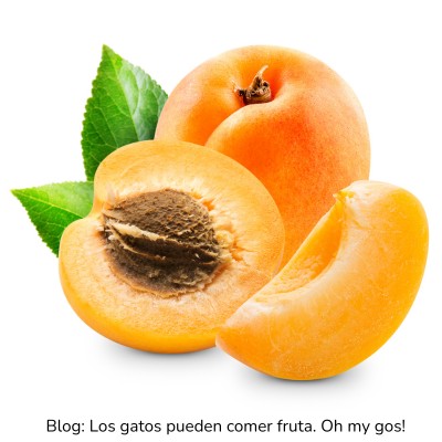Albaricoque para gatos