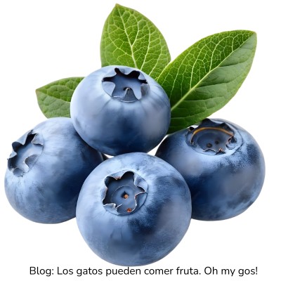 Arándano azul para gatos