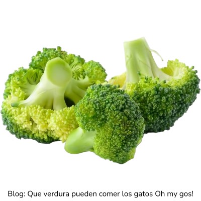 Brócoli para gatos