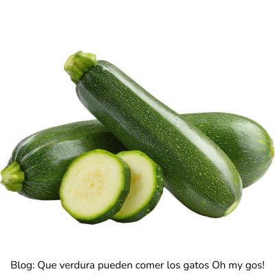 Calabacín para gatos