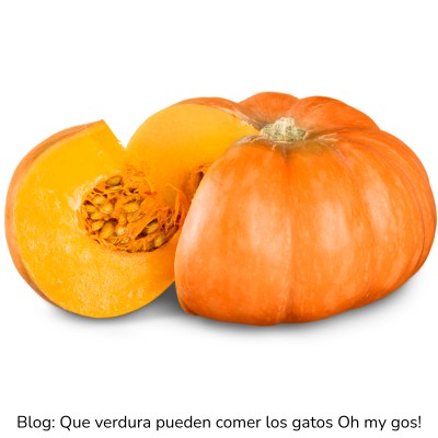 Calabaza para gatos
