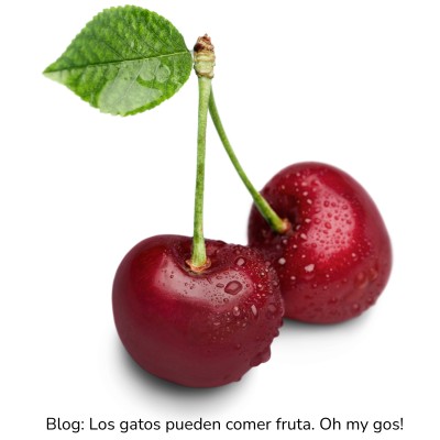 Cerezas para gatos