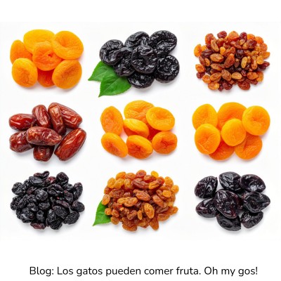 Fruta deshidratada y pasas para gatos