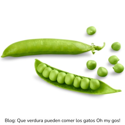 Guisantes para gatos