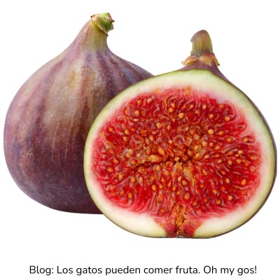 Higo para gatos