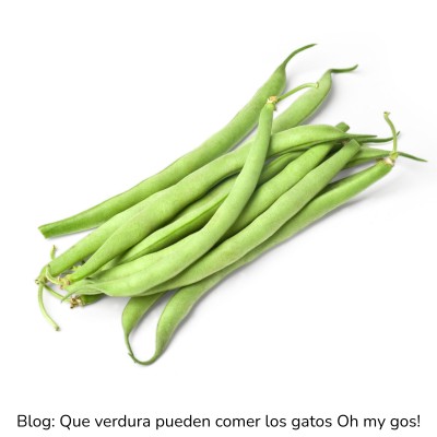 Judías verdes para gatos