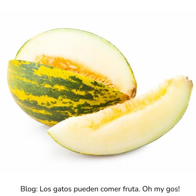 Melón para gatos