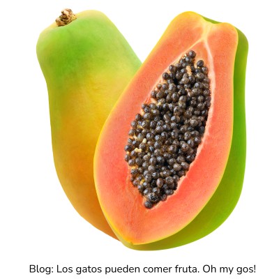 Papaya para gatos