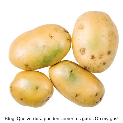 Patata cruda para gatos