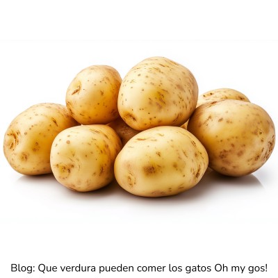 Patata cocida para gatos