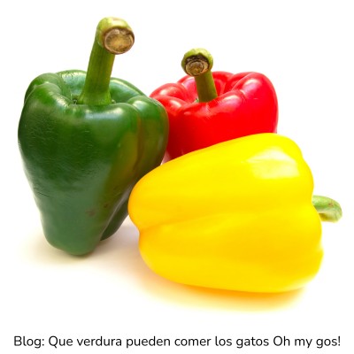 Pimiento dulce para gatos
