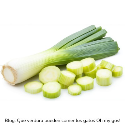 Puerro para gatos