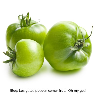 Tomate verde para gatos