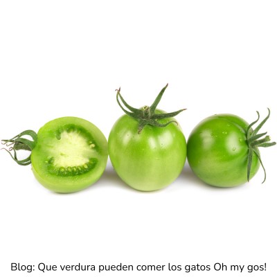 Tomate verde para gatos