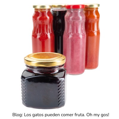 Fruta en almíbar para gatos