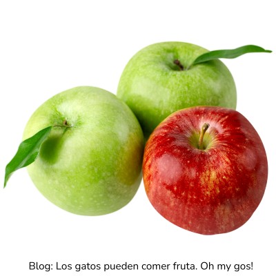 Manzana para gatos