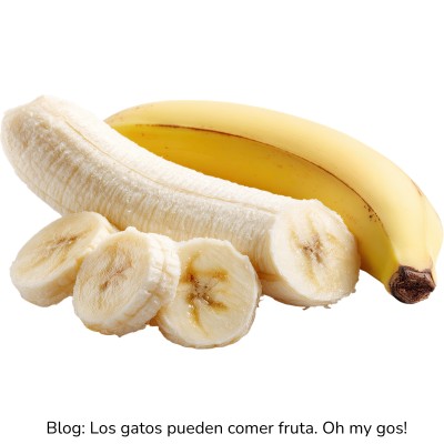 Plátano para gatos
