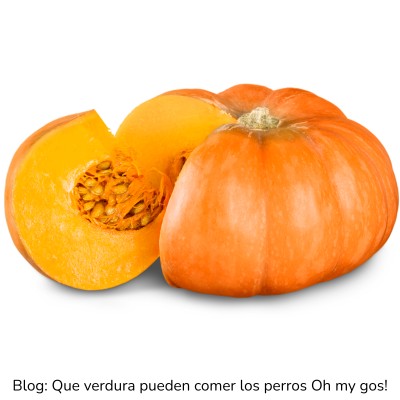 Calabaza para perros