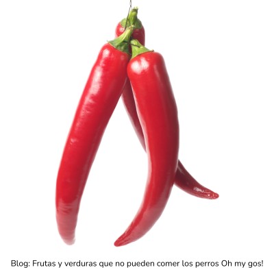Pimiento picante prohibido para perros