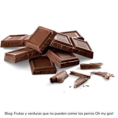 Chocolate prohibido para perros
