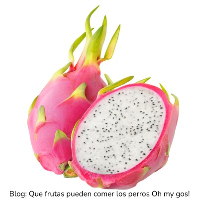 Fruta del dragón para perros