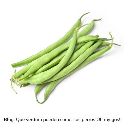 Judías verdes para perros