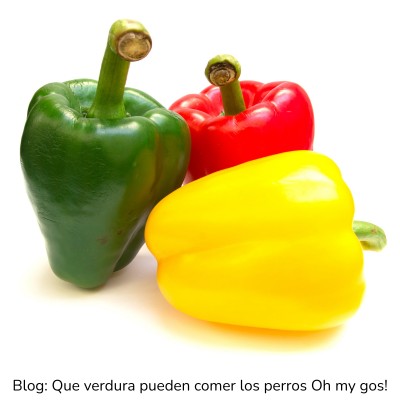 Pimiento dulce para perros