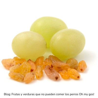 Uvas pasas sultanas y pasas de Corinto prohibidas para perros