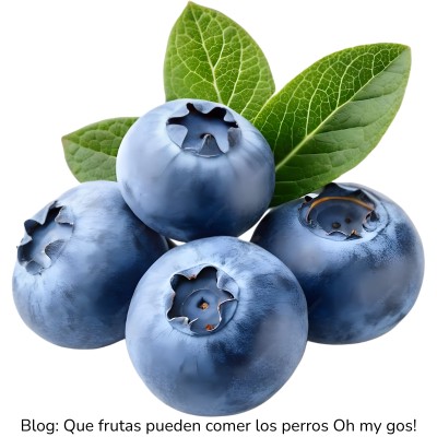 Arándanos azules para perros