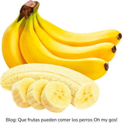 Plátano para perros