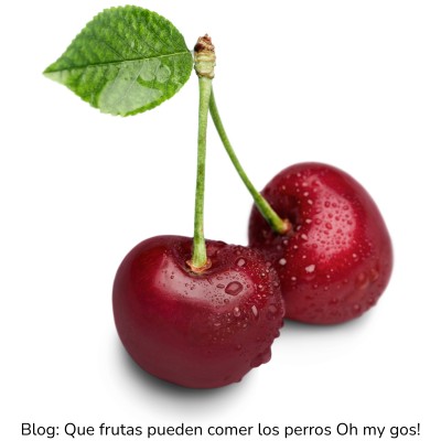 Cereza para perros