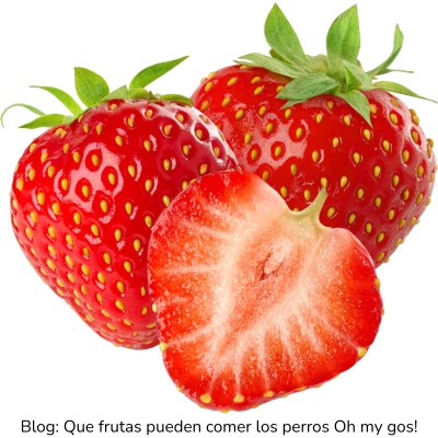 Fresa para perros