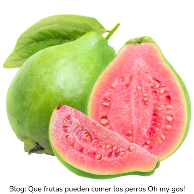 Guayaba para perros