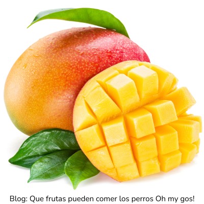 Mango para perros