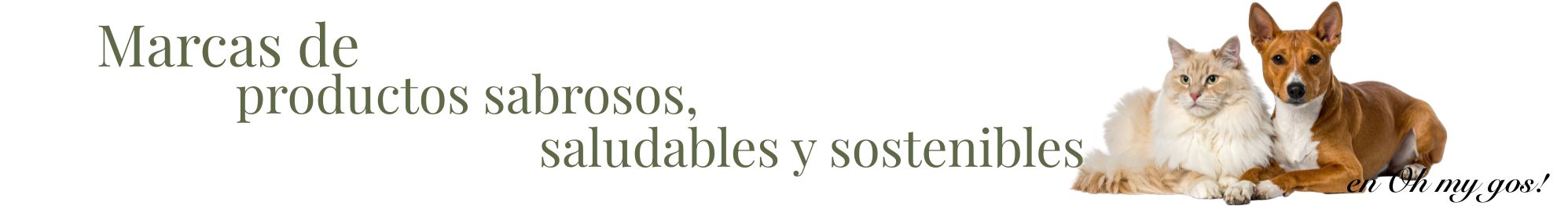 marcas ecologicas y sostenibles para mascota tienda para perros y gatos oh my gos