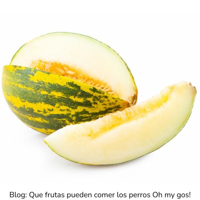 Melón para perros