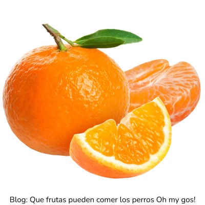 Naranja y mandarina para perros