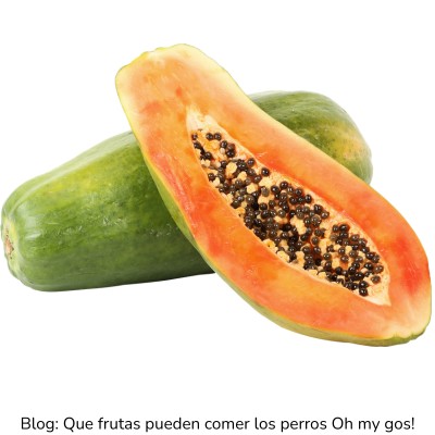 Papaya para perros