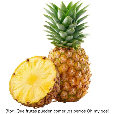Piña para perros