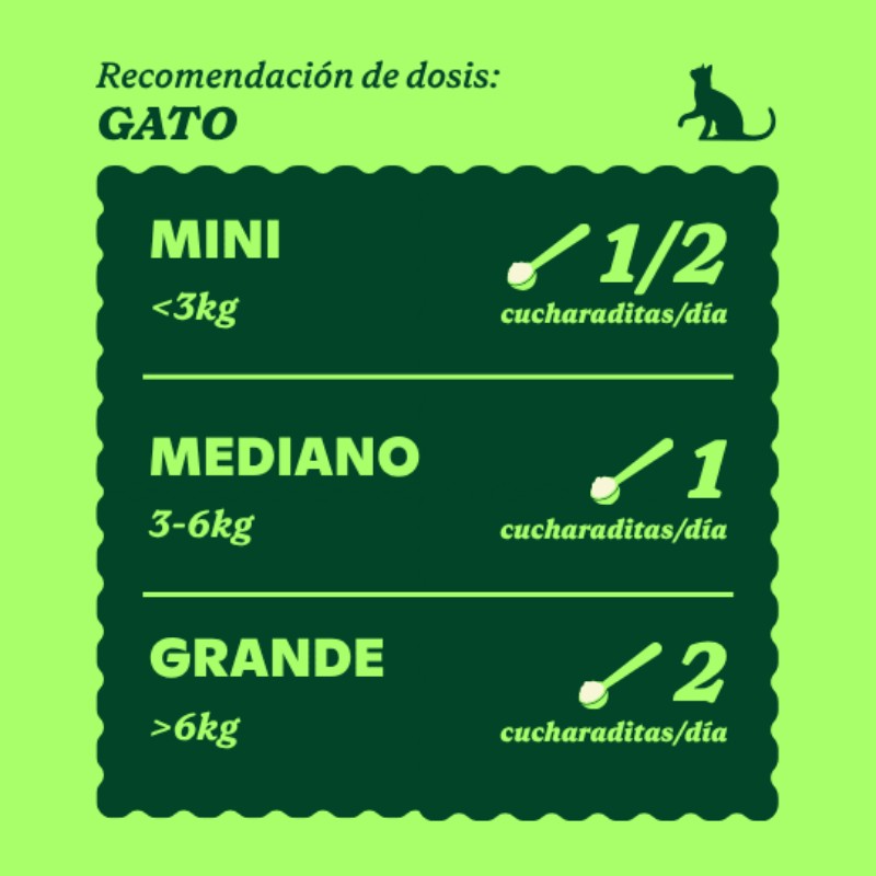 wild balance FUERA PLACA wild balance oh my gos