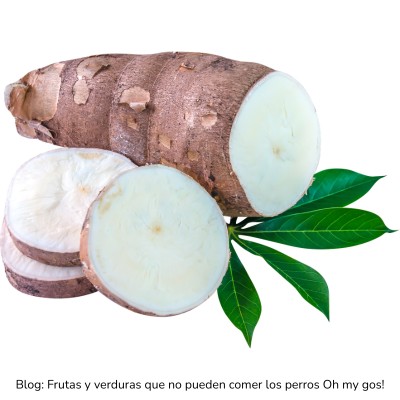 Yuca o mandioca prohibida para perros
