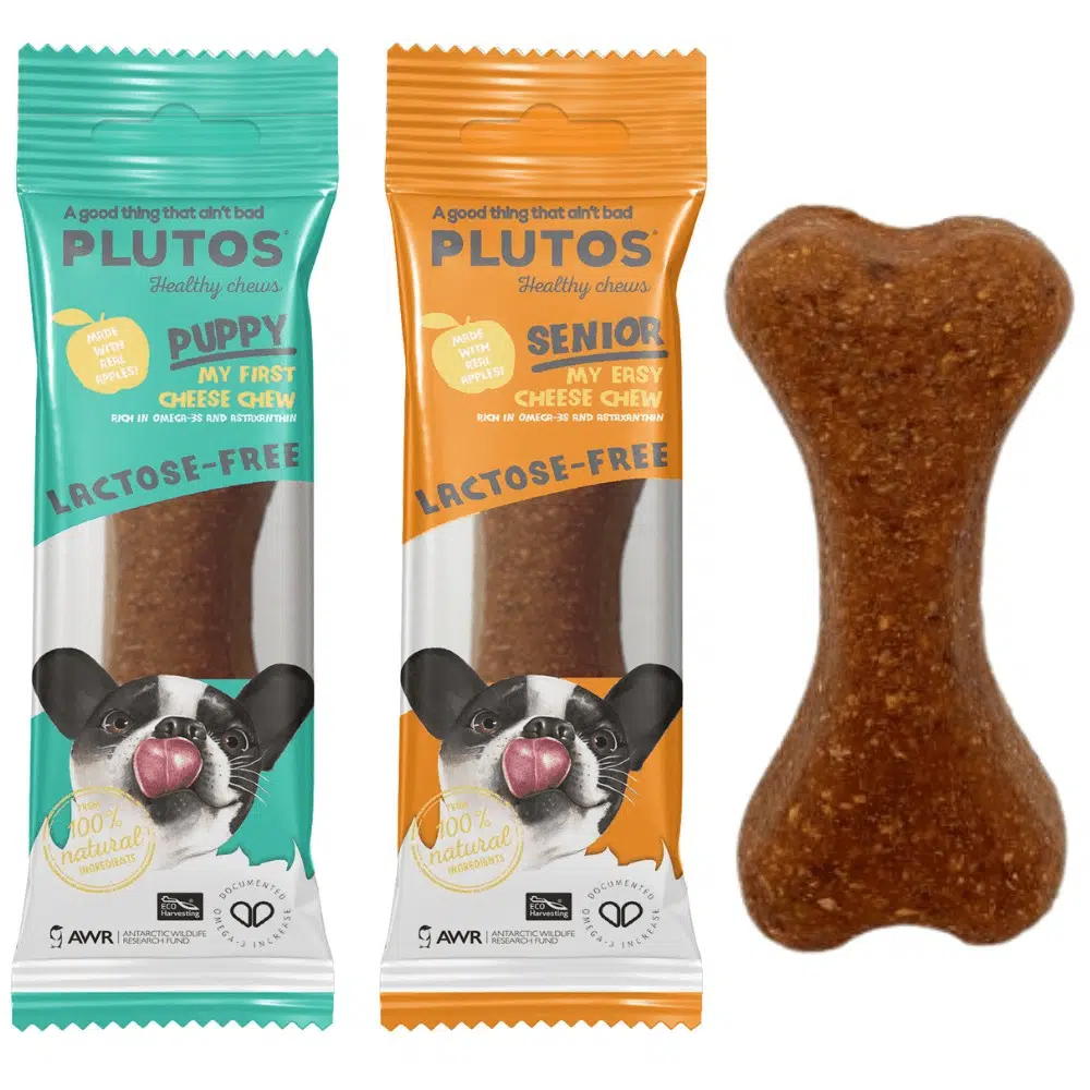 hueso plutos para perro-ohmygosweb.com